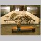 Chrissi und Ankylosaurus.JPG