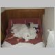 P1010014.html