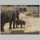 Zoo_Elefant.html