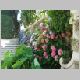 33Hortensien.html