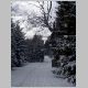 P1010068.html